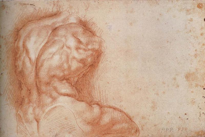 Peter Paul Rubens Facsimile form Torso belvedere oil painting image